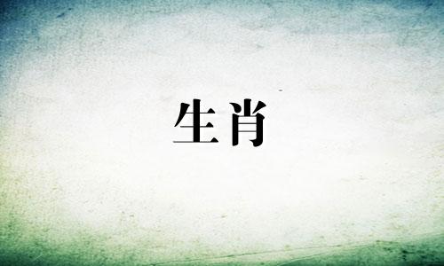 八字怎么看墙外桃花跟墙内桃花