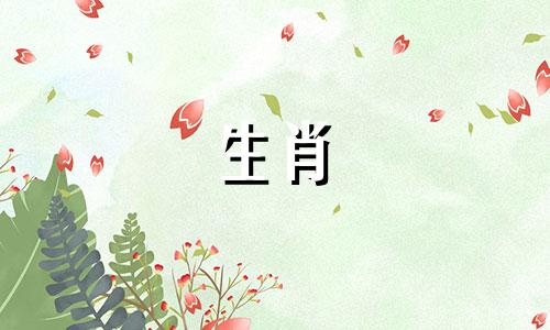 2024属兔的养什么花最旺财招财呢