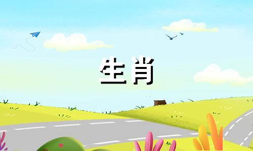 属猪男最珍惜哪种女人 属猪男对谁真心