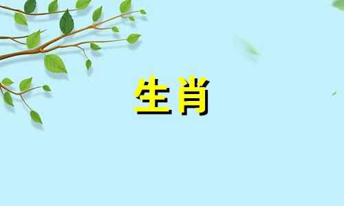 属蛇人2024年全年运势1977年生