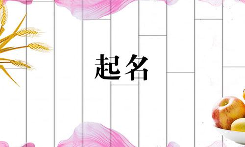 2024年最招财的公司名字有哪些呢