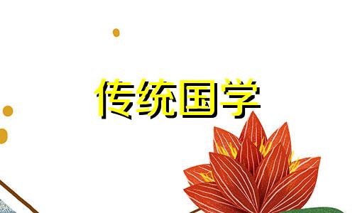 属龙的买什么颜色的车 属龙人买车什么颜色最吉