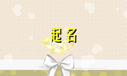 有创意的投资管理公司名称大全集