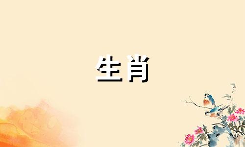 属兔男对什么样女人动情最深
