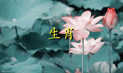 属鼠人的性格和优缺点男 属牛人的性格和优缺点