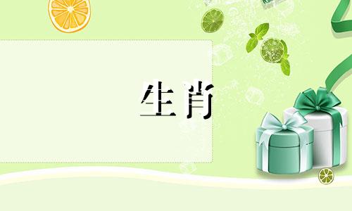 属狗和属兔在一起合适吗女