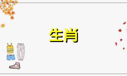 属马人2024年全年运势详解