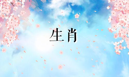 属龙人2024年的运势及运程深度解析