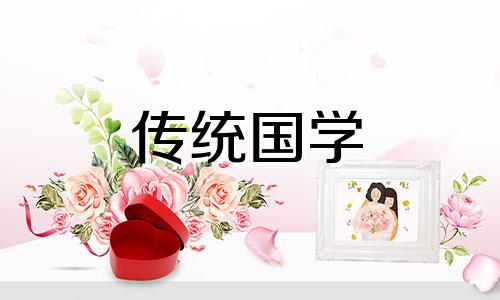狡猾的风水相师是谁写的 狡猾的风水相士在哪里可以看