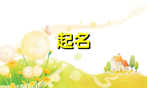 2024龙年出生的迟姓男孩名字大全及寓意