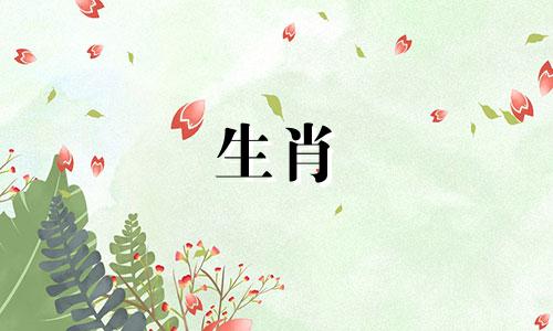 76年属龙女人最佳属相婚配是什么