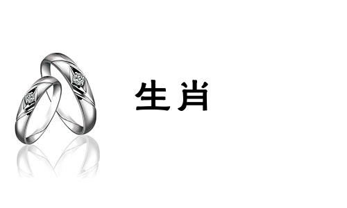 生肖属兔男女的性格和脾气分析