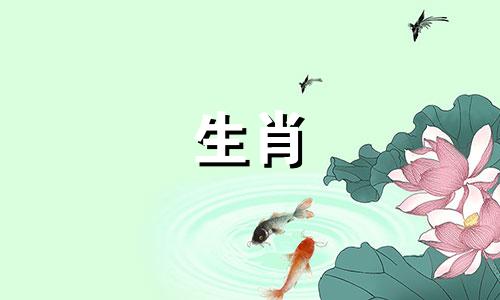 2025年是属羊人最大转变 属羊人2025年运势