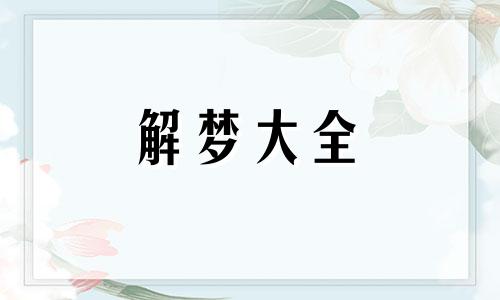 梦到了捡到一个包是什么意思啊