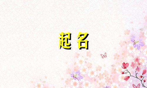 渔业公司名字哪个好听 渔业企业名称
