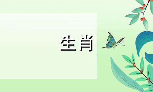 2025年属蛇人五行属什么