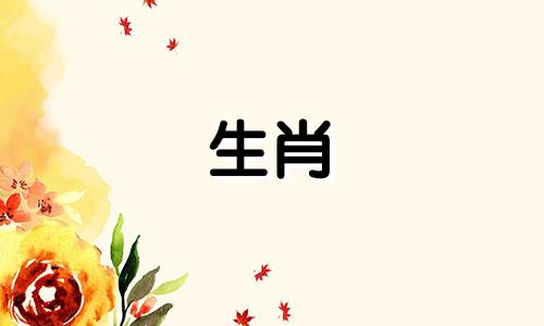 属羊女2025年运势及运程及每月运势