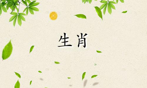 属猪人2025年犯太岁怎么化解