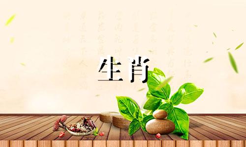 2025属羊人的全年运势如何呢
