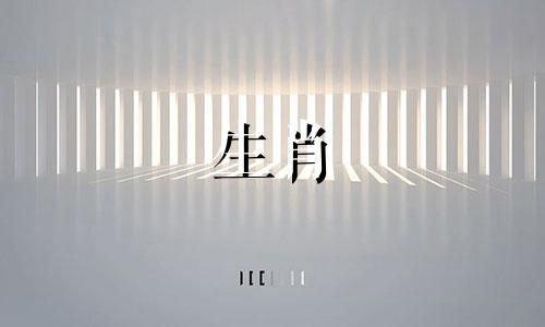 属猪最聪明三个特征是什么