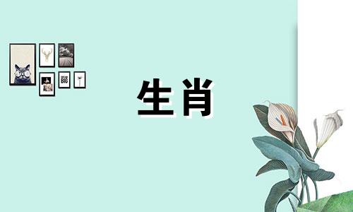 52年属龙人2025年运势及运程每月运程详解