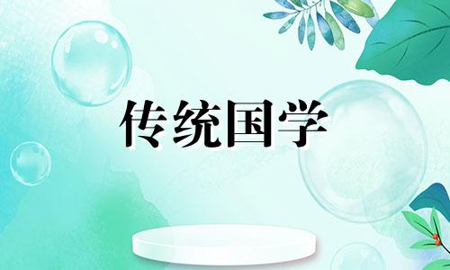 办公桌上放什么植物旺事业