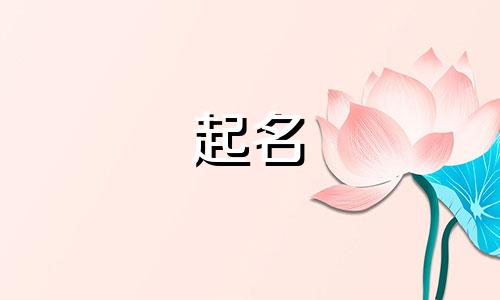 雷姓宝宝起名字大全寓意好听
