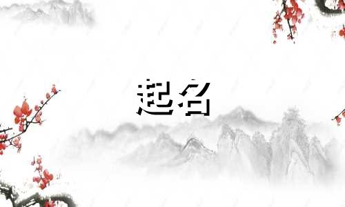 包装材料店铺名字大全 包装材料店铺取名