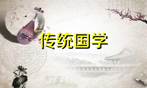 金桔树盆栽风水讲究图片 金桔树盆景寓意