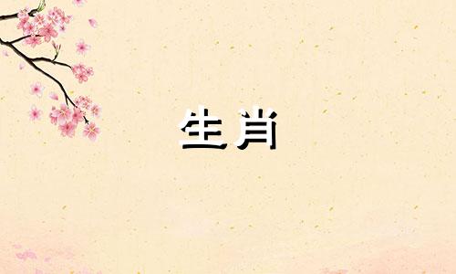 1999年属兔2024年运势及运程男性