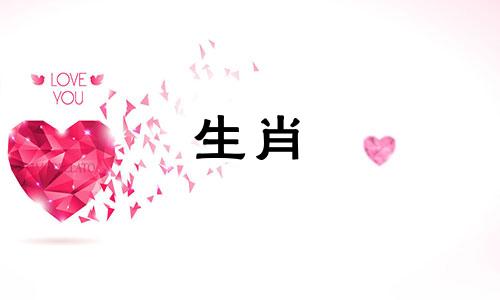 下眼皮跳是什么预兆女 右眼下眼皮跳是什么预兆