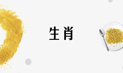 2025属牛全年完整运气运势