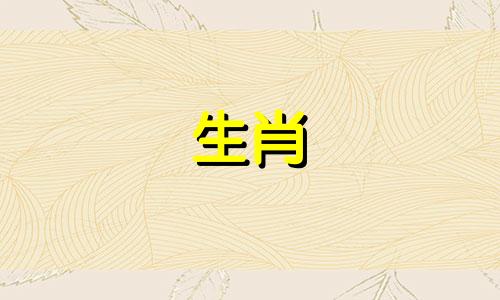 属猪和属龙的合不合财做生意