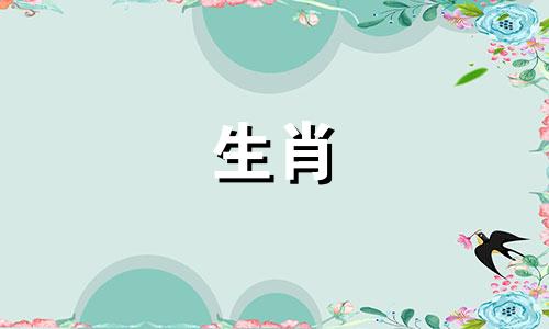 2006年属狗男孩在2024年学业运