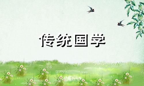 入户门左侧放镜子风水好吗