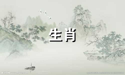 2025属马全年综合运势如何样