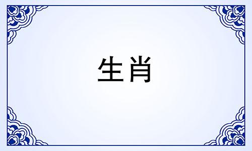 2024年属猪9月生肖运势如何