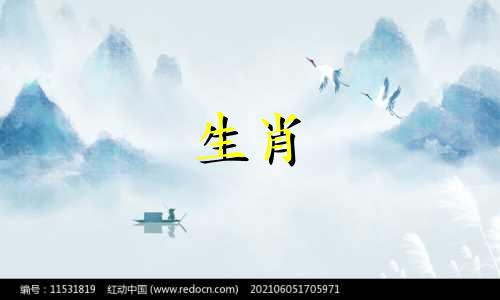 90年属马的人2024年的运势及运程