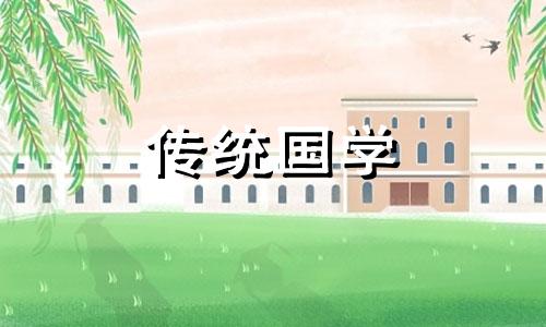 车撞到狗暗示着什么风水预兆