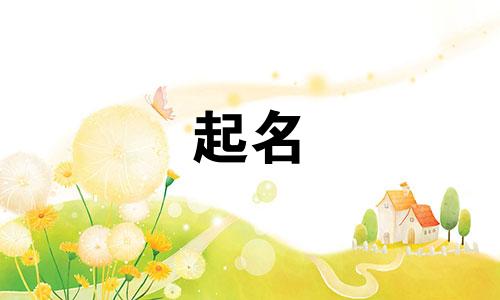 何姓男孩名字2025年5月14日出生的命运