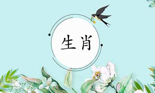 2024属狗全年完整运气如何呢