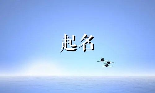 2025年五月初八出生许姓男孩名字大全
