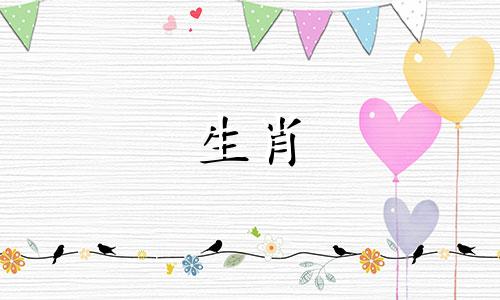1983年猪41岁分水岭是什么意思