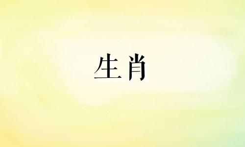八字看命理是不是有财运的