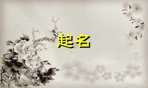 许姓男孩名字2025年6月11日出生的命运