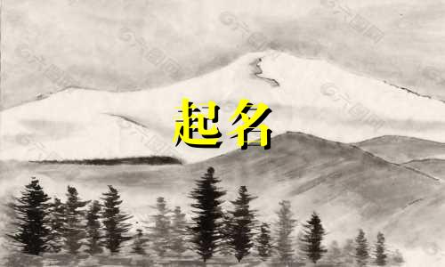 2025年五月十九出生张姓女孩名字大全