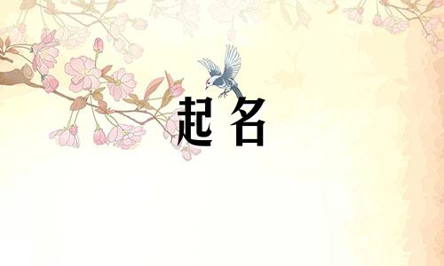 2025年五月廿八出生贺姓女孩名字怎么取好听