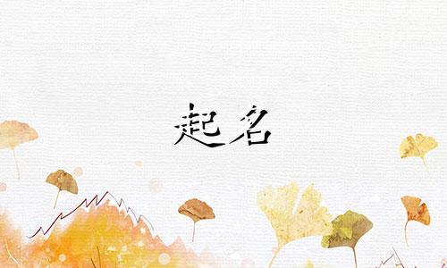 2025年六月十六出生魏姓男孩名字大全