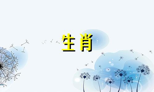 属龙的人不能佩戴什么饰品