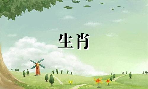 1970年属狗的每月运势2O24年男